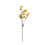 V.MARGARITA TAGETE 82CM
