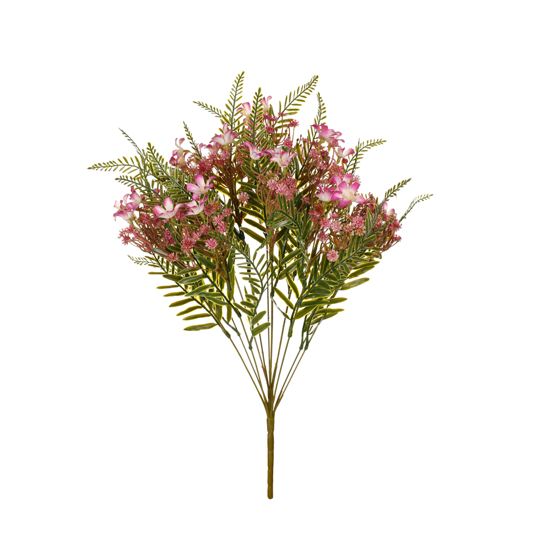 5212-15.jpg R.FILIPENDULA
