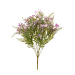 R.FILIPENDULA