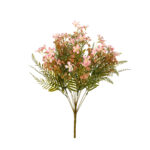 R.FILIPENDULA