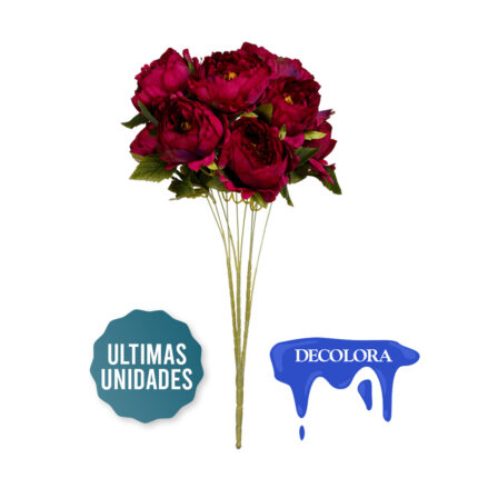 R.PEONIA X9