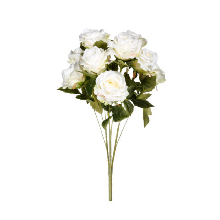 R.ROSAS X9