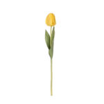 TULIPAN (02) *AMARILLO
