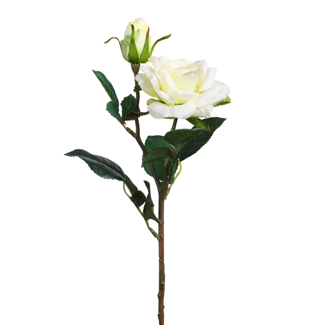 7001-0.jpg VARA ROSA TACTO NAT.X2