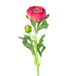 V.RANUNCULO X2 TACTO NATURAL *FUXIA