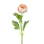 V.RANUNCULO X2 TACTO NATURAL *FUXIA