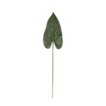 HOJA ANTHURIUM PEQ.
