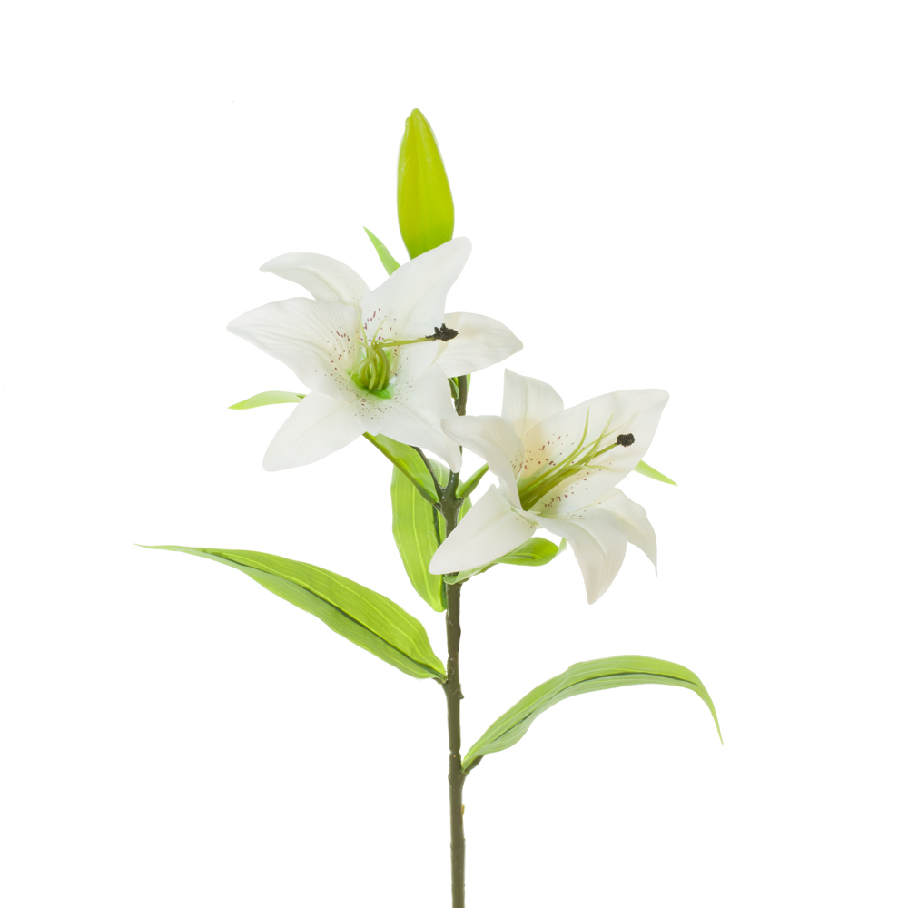 7018-0.jpg V.LILIUM X2 TACTO NAT.