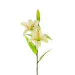 V.LILIUM X2 TACTO NAT.