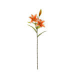 V.LILIUM X2 TACTO NAT.