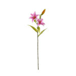 V.LILIUM X2 TACTO NAT.