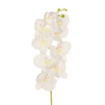 VARA ORQUIDEA X 9 *FUXIA
