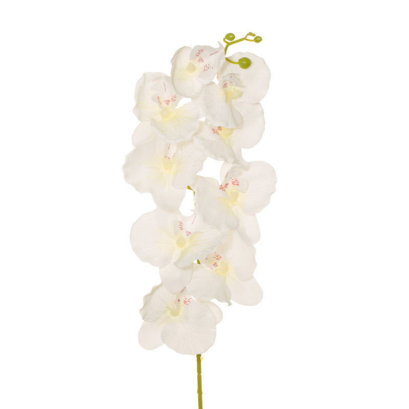 7028-0.jpg VARA ORQUIDEA X 9 *FUXIA
