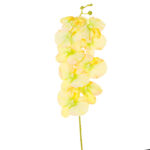 VARA ORQUIDEA X 9 *FUXIA
