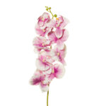 VARA ORQUIDEA X 9 *FUXIA