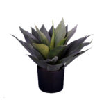 PLANTA AGAVE 52CM
