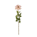 VARA DALIA 60CM