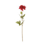 VARA DALIA 60CM