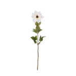 VARA DALIA 60CM