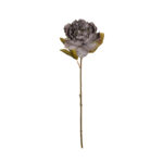 V.PEONIA ABIERTA OTOÑAL