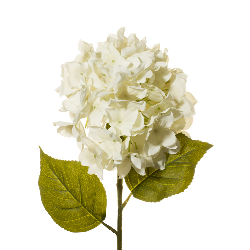 7044-0.jpg VARA HORTENSIA GRD OTOÑAL