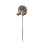 VARA HORTENSIA GRD OTOÑAL