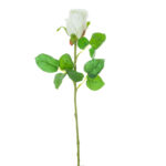 V.CAPULLO LUX