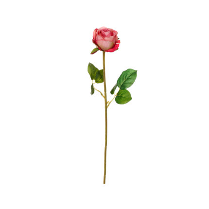 V.ROSA ALENA *FUXIA