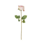 V.ROSA ALENA *FUXIA
