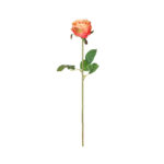 V.ROSA ALENA *FUXIA