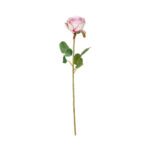 V.ROSA ALENA *FUXIA