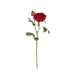 V.ROSA SOFIA