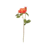 V.ROSA SOFIA