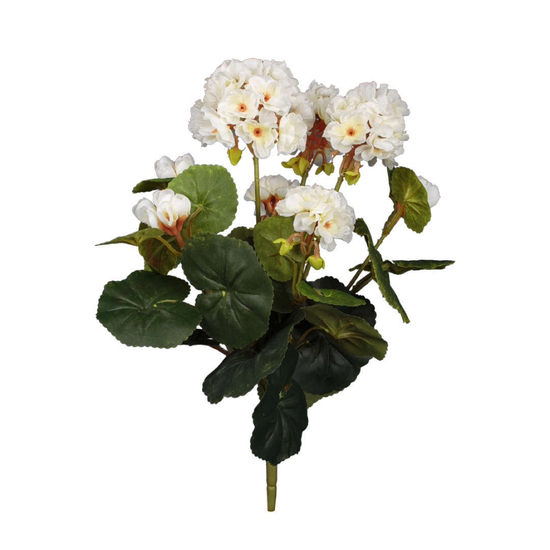 7112-0.jpg RAMO GERANIO