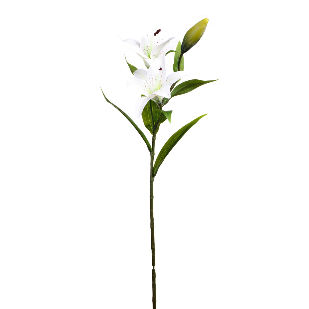 7157-0.jpg V.LILIUM TACTO NAT.