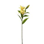 V.LILIUM TACTO NAT. *AMARILLO