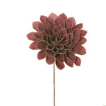 ZINNIA FOAM