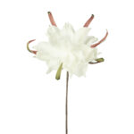 MAGNOLIA FOAM