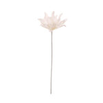 DAHLIA "FOAM"