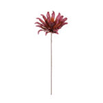DAHLIA "FOAM"