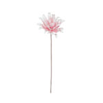 DAHLIA "FOAM"
