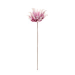 DAHLIA "FOAM"