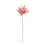 DAHLIA "FOAM"