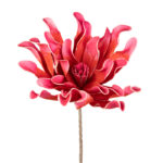 DAHLIA "FOAM"