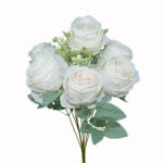 R.ROSA INVERNAL