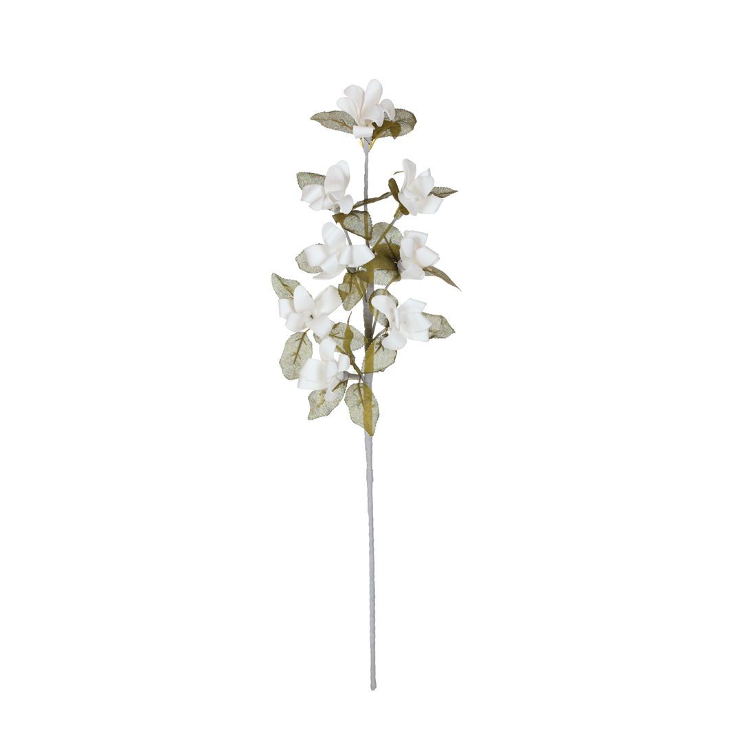 88000090-0.jpg VARA LILIUM