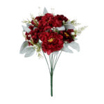 R.PEONIA INVERNAL