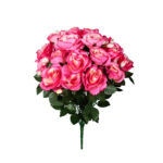 R.ROSAS GIGANTE