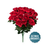 R.ROSAS GIGANTE (49026) *ROJO