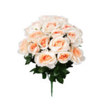 R.ROSAS GIGANTE (49026) *SALMON
